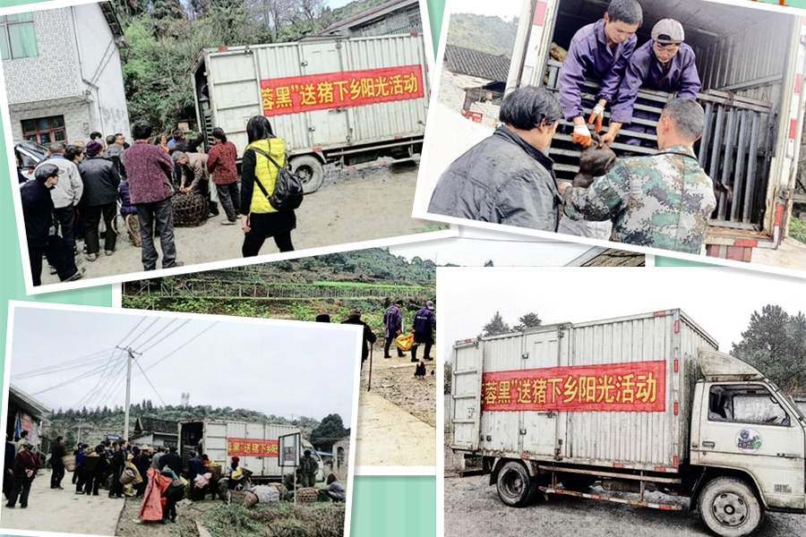 C:\Users\Administrator\Desktop\2018.05.16-236��ƶģʽ �������������\��������.jpg